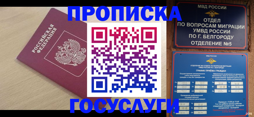 прописка законно в Пскове